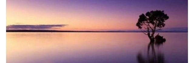 iy646003's profile banner image
