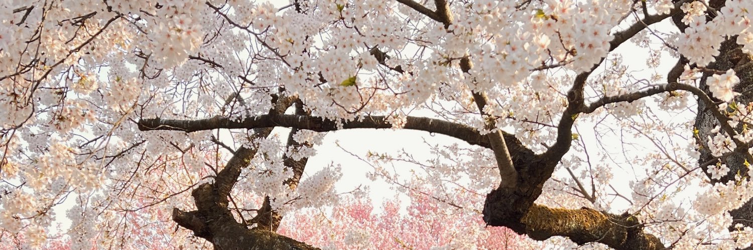 mitenlibrary's profile banner image