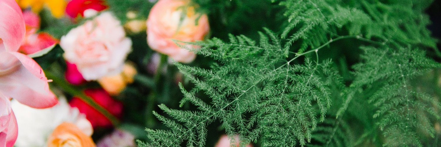 the ✨mal✨batross 🕊 banner