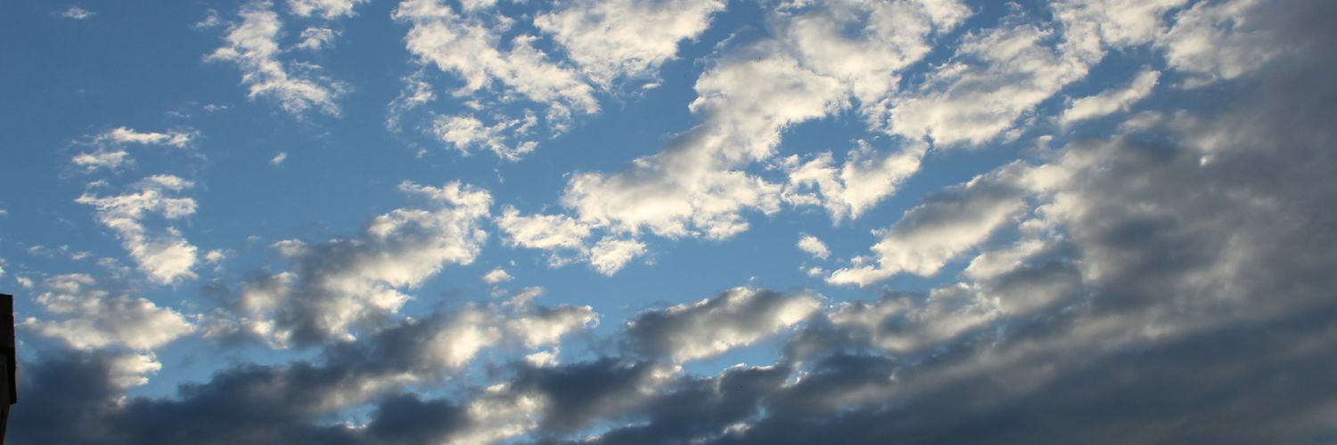 Quim | Viendo pasar la vida banner