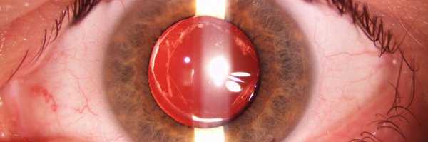 chris_davey Profile Banner