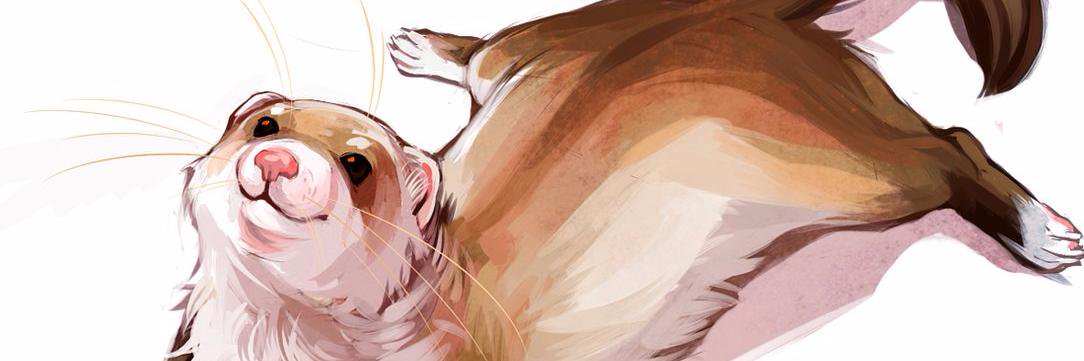 Ellece65's profile banner image