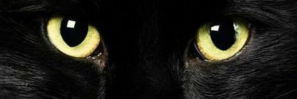 CloeOphtalmo's profile banner image