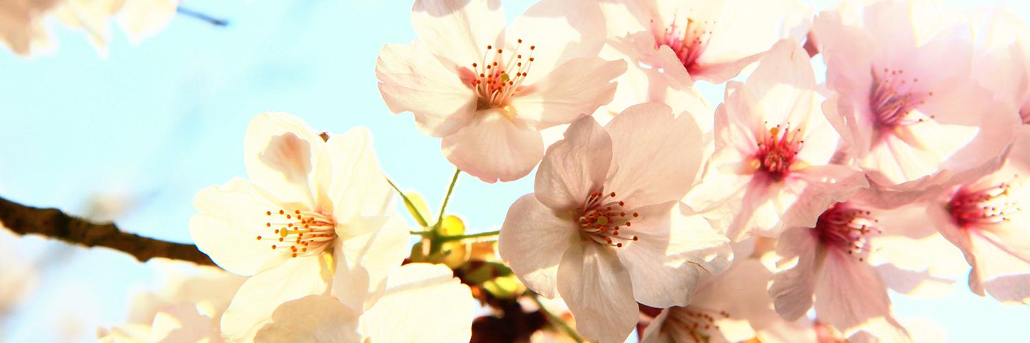 IGP_Magazin's profile banner image