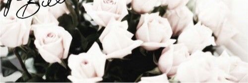 chelsie_mayX's profile banner image