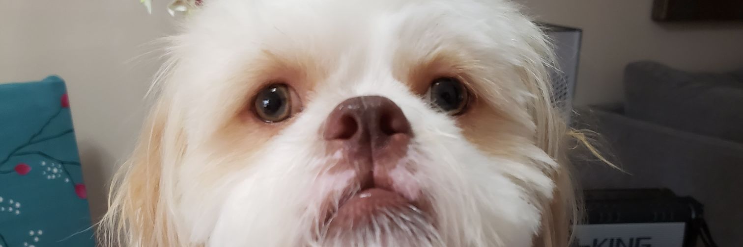 George_T50's profile banner image