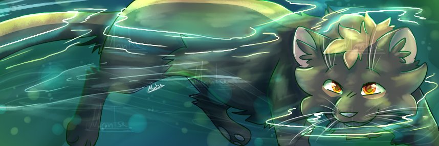 Fallen #TeamMystery banner