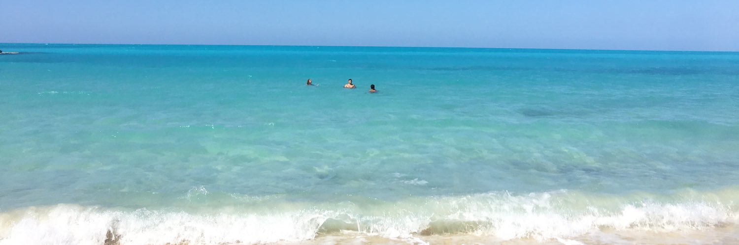 Radwa H. Abou-Saleh banner