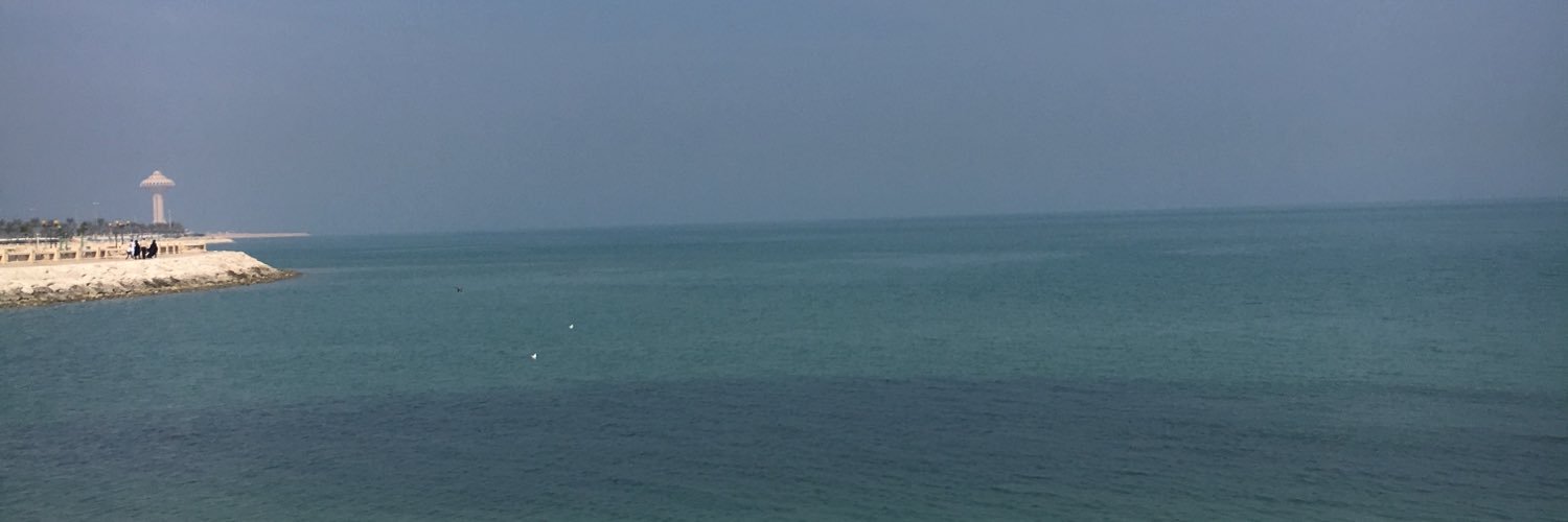normalperson191's profile banner image