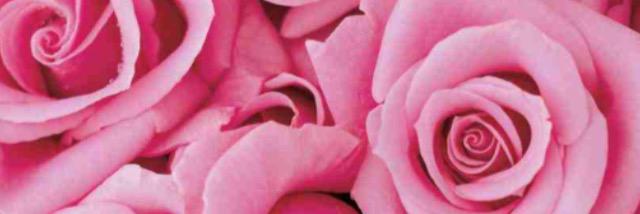 PoppyWitton's profile banner image