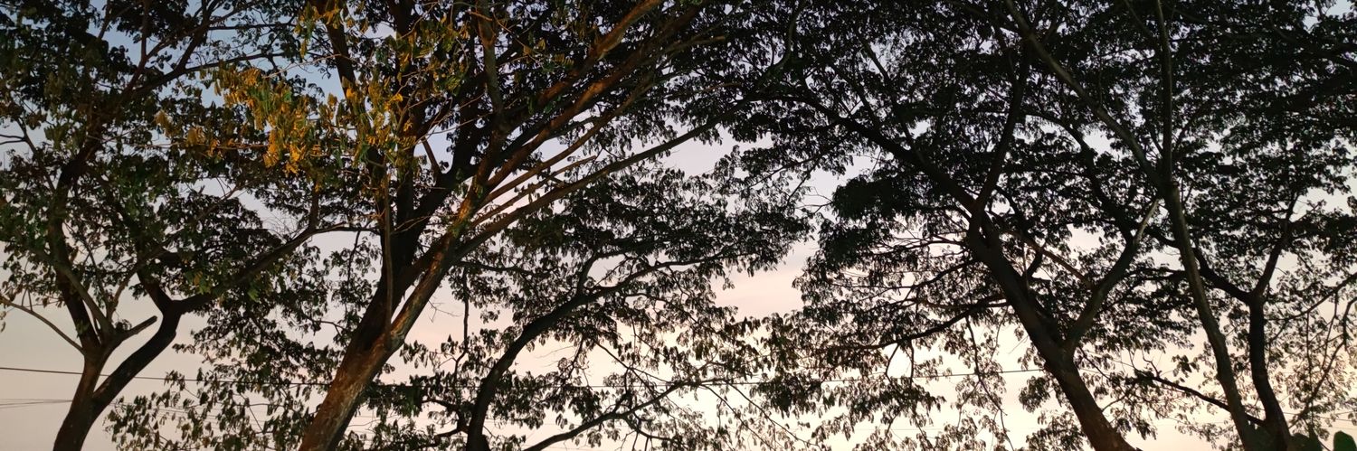 danielwongso's profile banner image