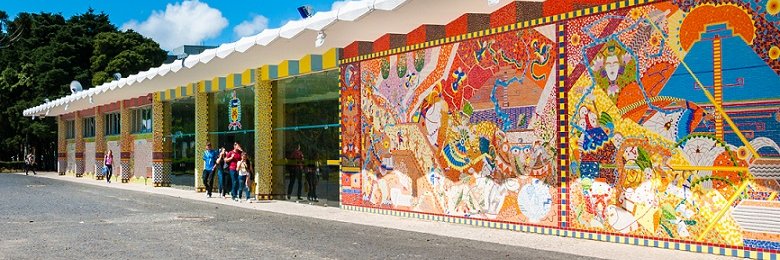 Cristiane Derani banner