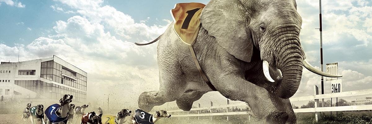 Глухова Даша banner