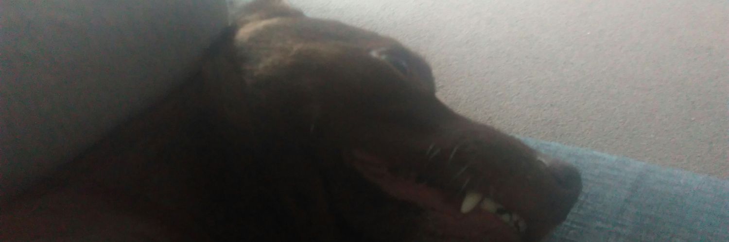 LukeBeever's profile banner image