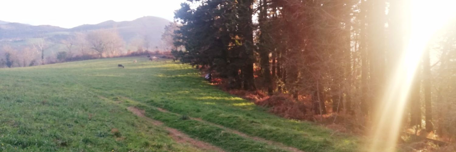 Mirene Begiristain Zubillaga banner