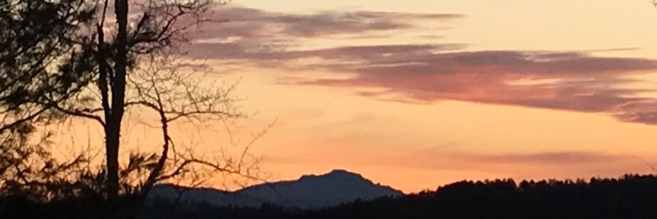 Marshall Thomas banner