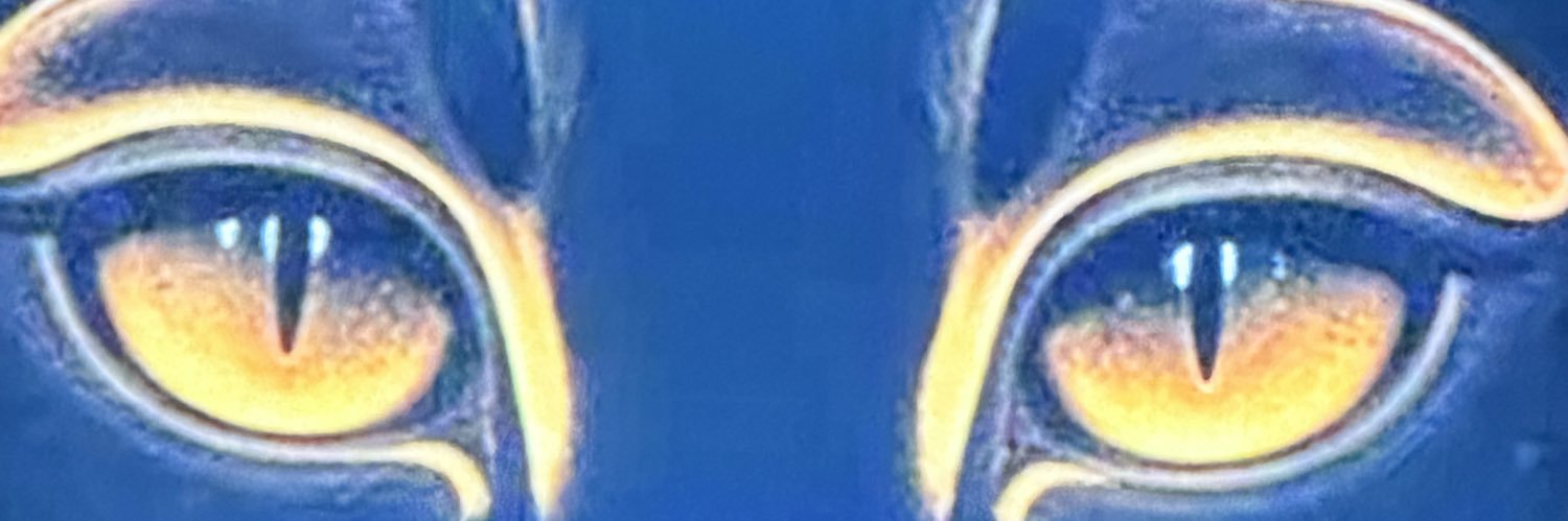 flames_divine's profile banner image
