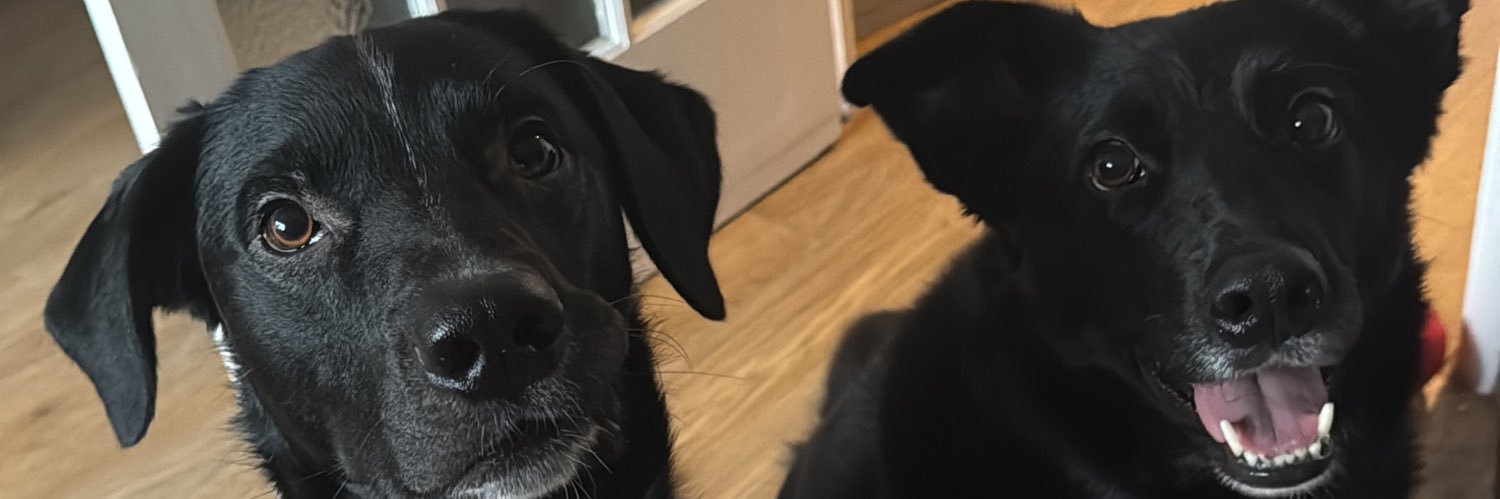 aaronnstuart's profile banner image