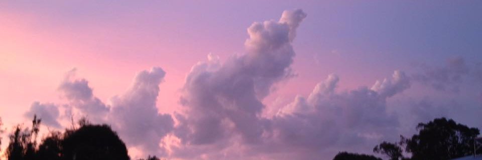 Matthew Loads banner