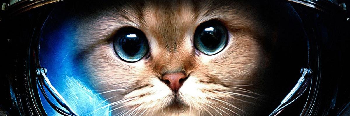 Муратов Александр banner