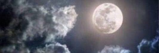 halaali794's profile banner image