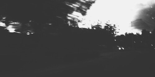 Laur. banner