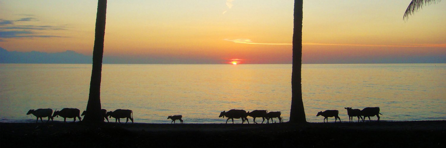 Tuguhotels's profile banner image