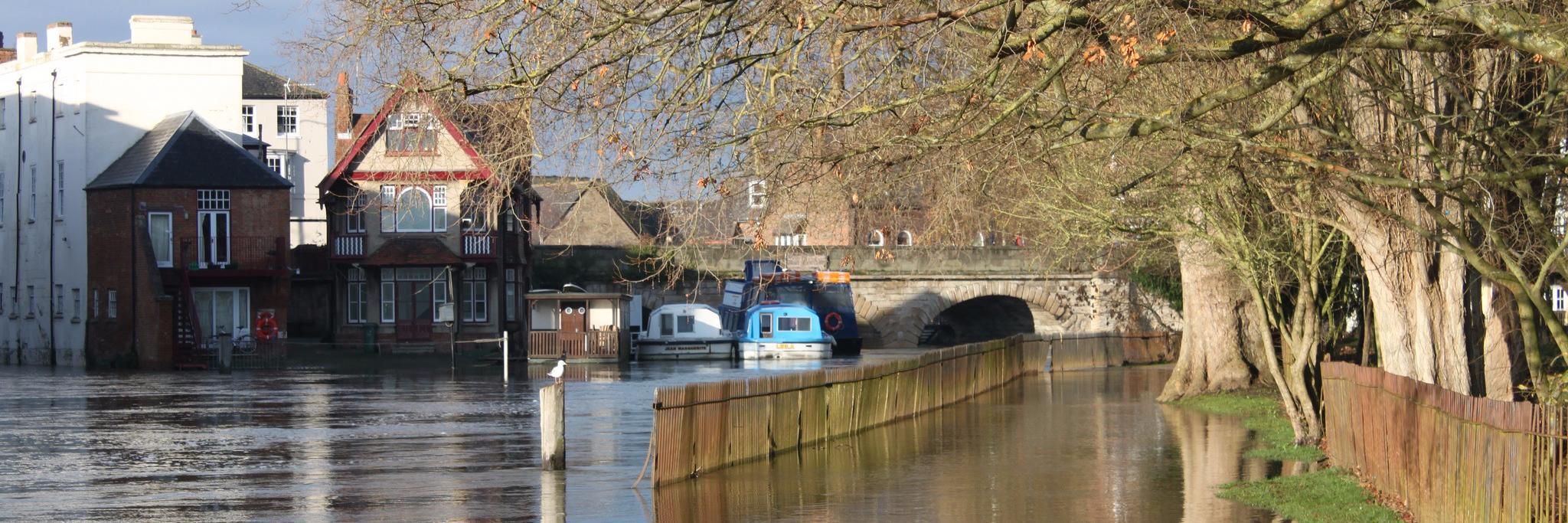 Flood Network 💧 banner