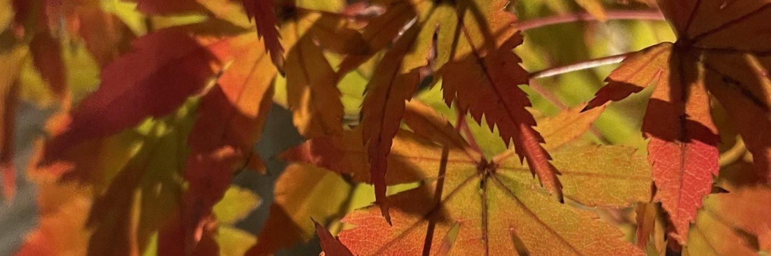 AsukaASoryu's profile banner image