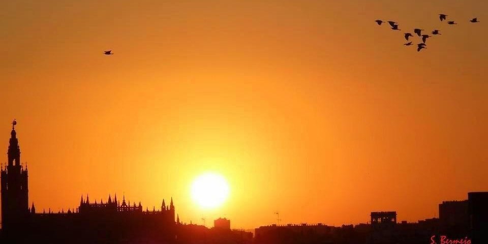 JORGE MARTÍNEZ banner