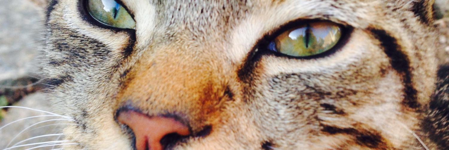jamieAgger5's profile banner image