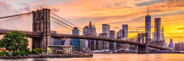 Preeya Goenka 🐝 banner