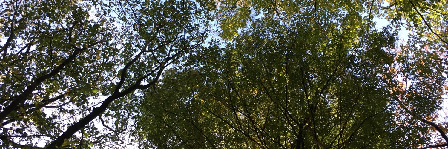 Vera Schoenmakers5VS banner