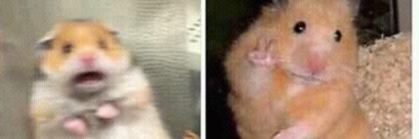 psyclementine69 Profile Banner