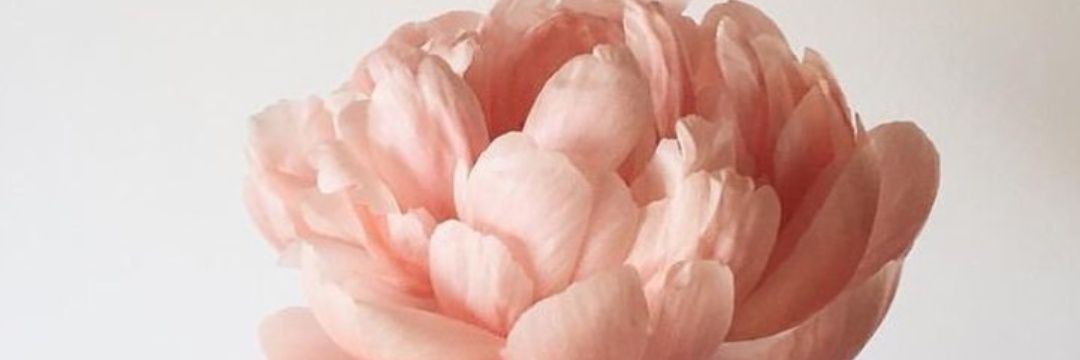 Vivi9724's profile banner image