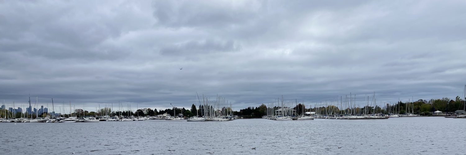 Ana Maria "la chata" banner