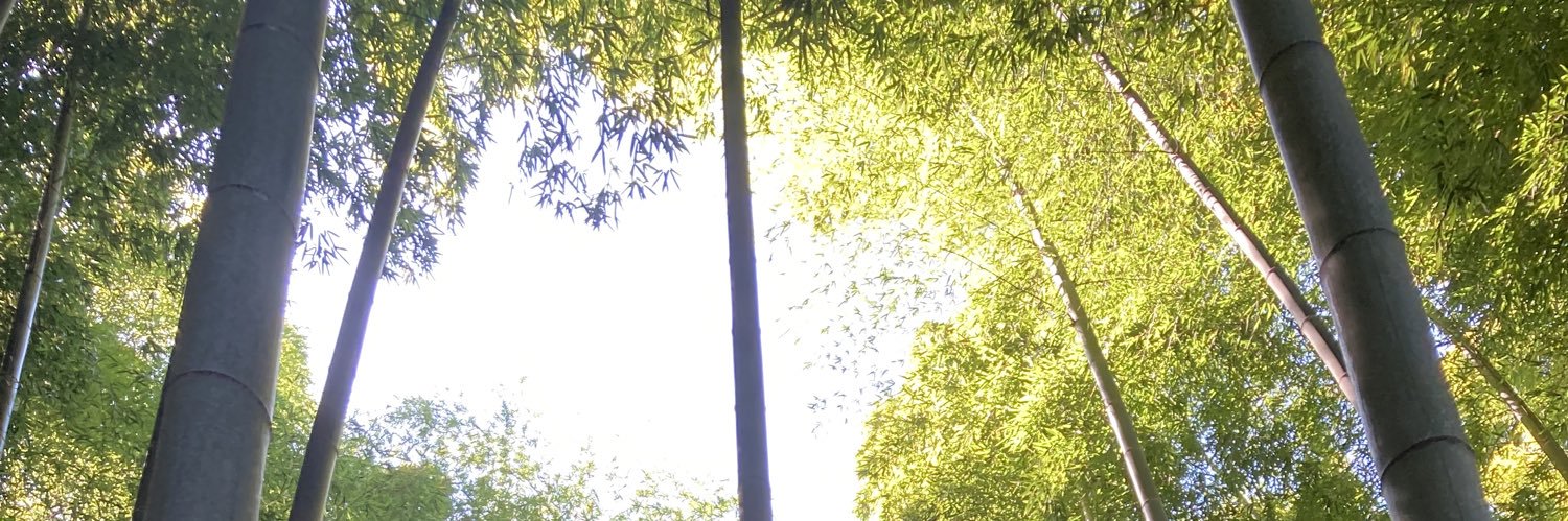 pegasus_ride's profile banner image