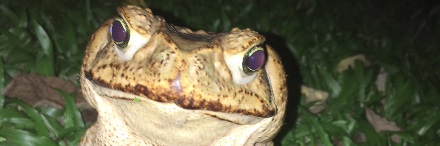 cbeyts's profile banner image