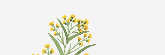 schmonavllnt's profile banner image