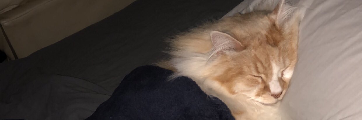 case_joc's profile banner image
