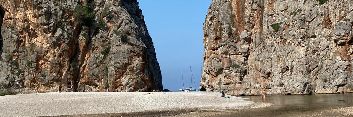 Jaumepericas's profile banner image