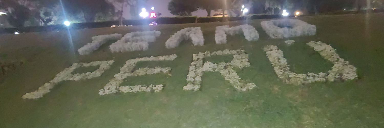 Nemo banner