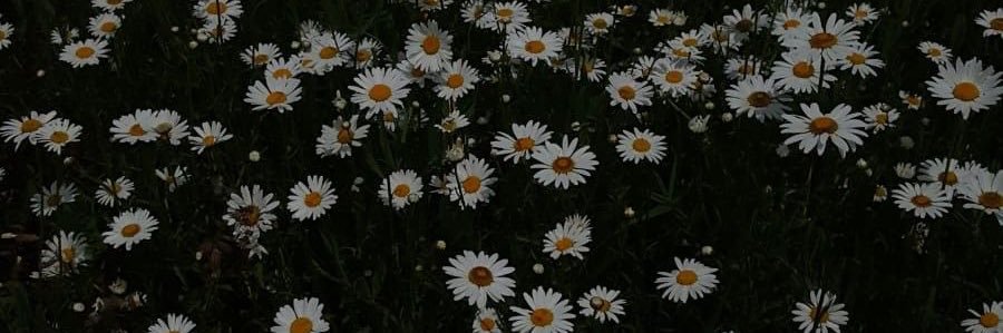 EmmaTheresaa's profile banner image