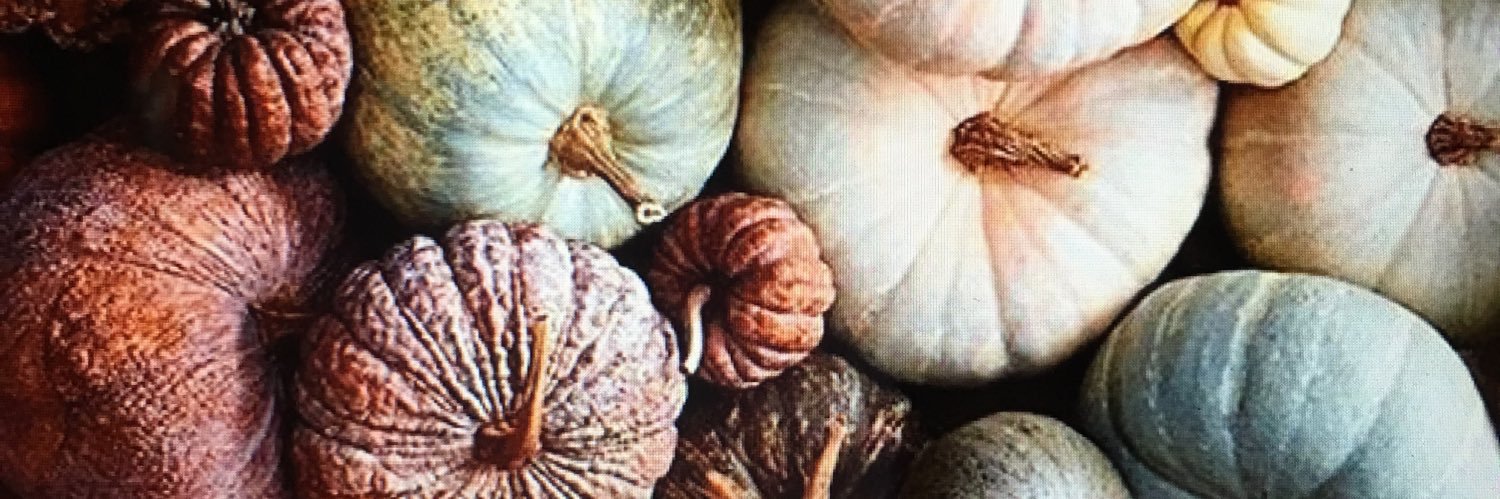 debfischer66's profile banner image