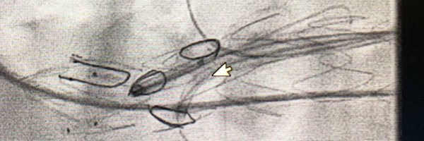 msoultmd Profile Banner