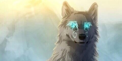 NalaWild's profile banner image