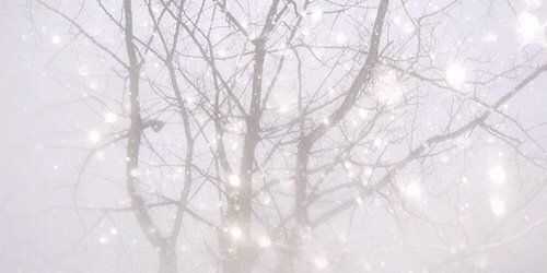 CameronRPGNT's profile banner image