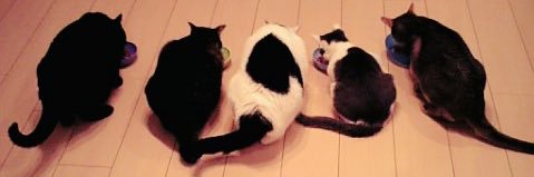 細見大輔 banner