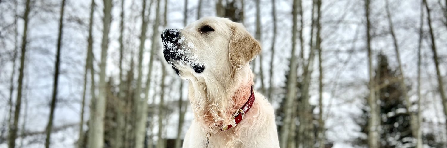 hausofzander's profile banner image