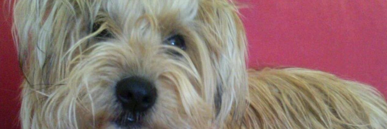 esmemarlo's profile banner image